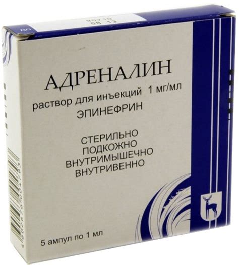 Аллергик на отдыхе: правильное питание | MedAboutMe