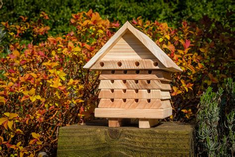 Interactive Solitary Bee Hive - The Pumpkin Store