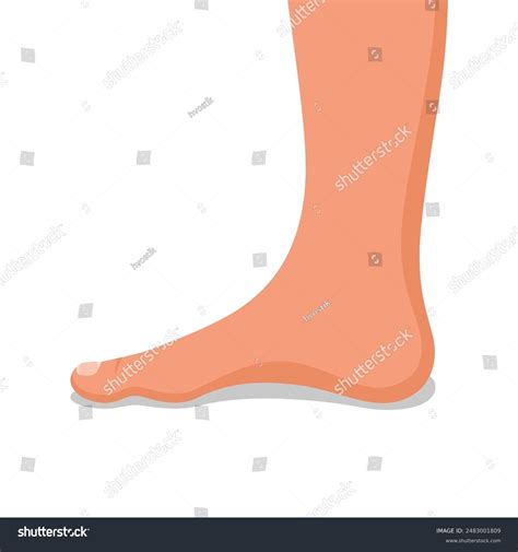 Ossa Nude Over Royalty Free Licensable Stock Illustrations