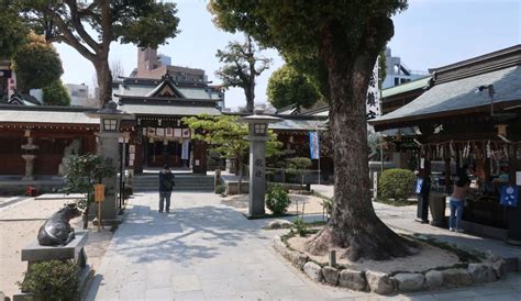 Admiring the Temples in Fukuoka - Up in the Nusair