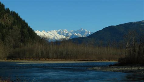 Skagit River Washington Route 20 Between Rockport And North Cascades