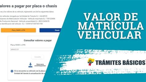 Paga tu MATRÍCULA Vehicular ANT Guía COMPLETA Ecuador