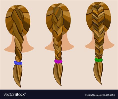 types  braiding isolated vector image