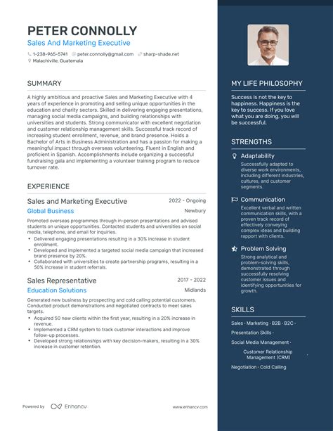 3 Successful Sales And Marketing Executive Resume Examples And Writing