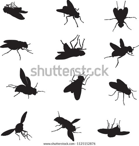 filmy fly art   royalty  licensable stock illustrations