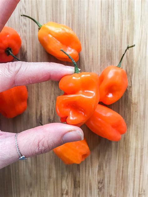 Habanero Hot Sauce Recipe With Video Life S Ambrosia