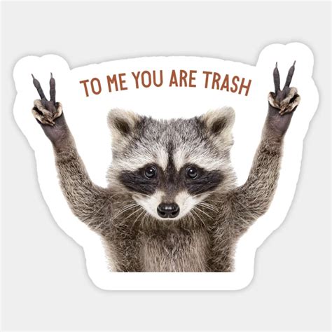 To Me You Re Trash Racoon By Fernandaffp Racoon Baby Racoon Funny