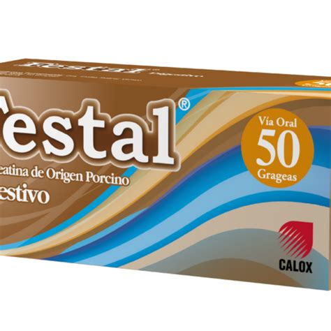 Festal Calox International