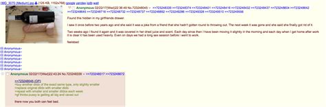 Anon Finds His Girlfriends Dildo R Chan