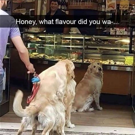 What The Fuck R Memes