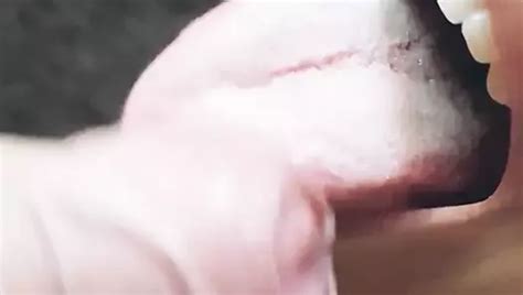 Albatros Porn Creator Videos Free Amateur Nudes Xhamster