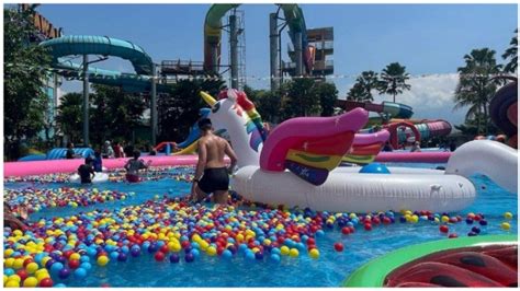 Harga Tiket Masuk Hawai Waterpark 2023 Tempat Wisata Di Malang Yang