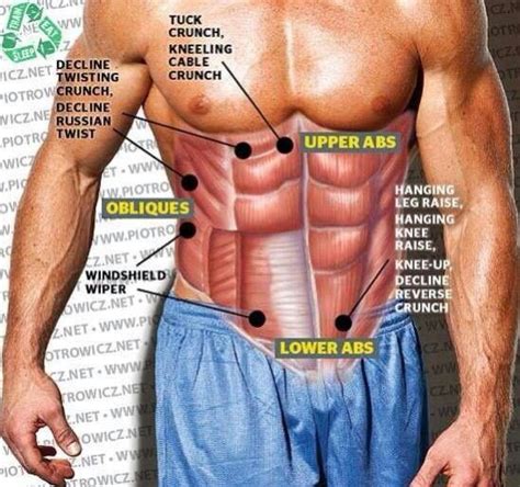 Pin By Ehllinzoar On Bodybuilding Tips And Videos Upper Abs