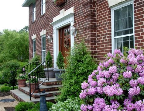 Сирень на штамбе в саду (74 фото) - фото - картинки и рисунки: скачать ...