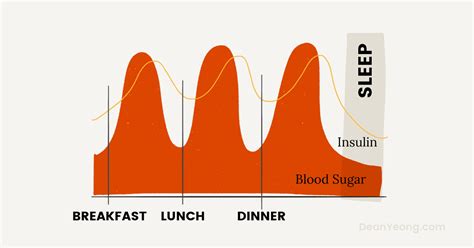 The Complete Guide To Intermittent Fasting For Beginners Dean Yeong