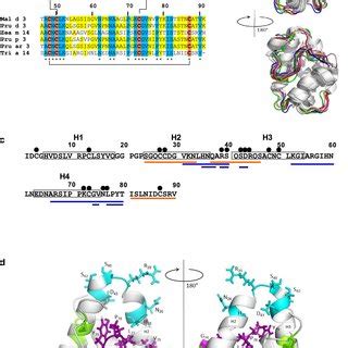 Summary of mutations and their theoretical effect on structure. LTP ... 