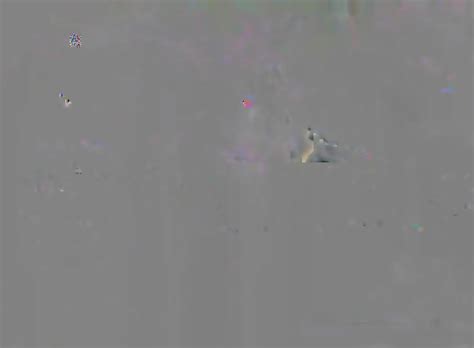 Hairy Romanian Mature