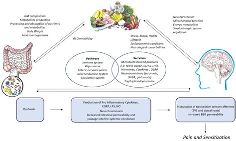 The Brain, the Eating Plate, and the Gut Microbiome: Partners in