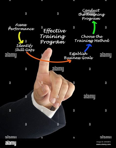 components  effective training program stock photo alamy