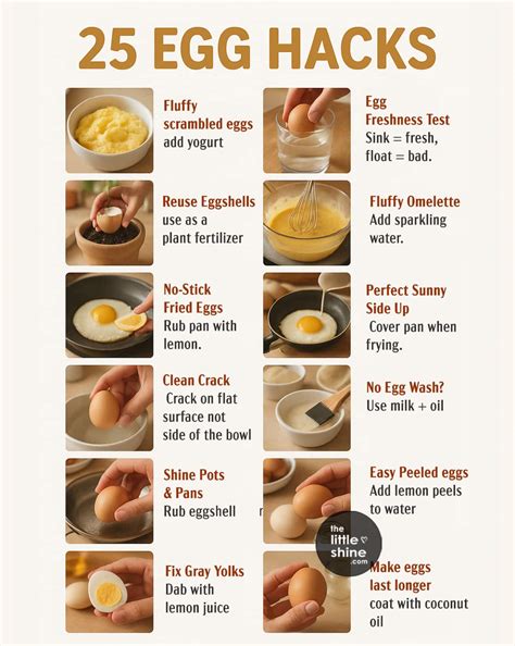 Top 25 Egg Hacks You’ll Wish You Knew Sooner - The Little Shine