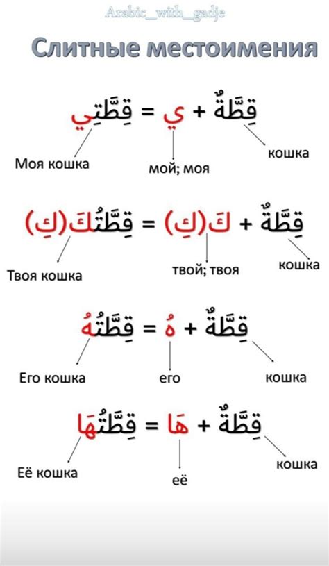 Pin Van Olga Nilova Op Arabic