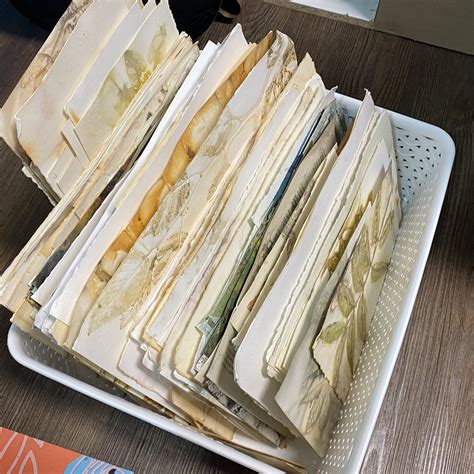 How about Ecoprint Pages for Doodling? — carol ann webster