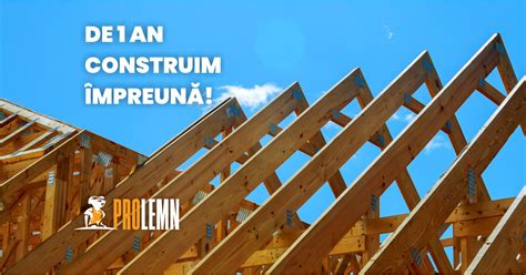 de prolemn asociatia industriei lemnului prolemn