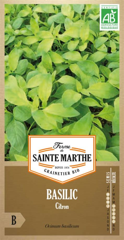 Graines Basilic Citron La Ferme Sainte Marthe Jardiland