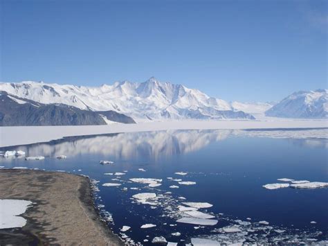 Características Do Clima Polar - Clima Polar: [Características, Flora, Fauna y Adaptabilidad]
