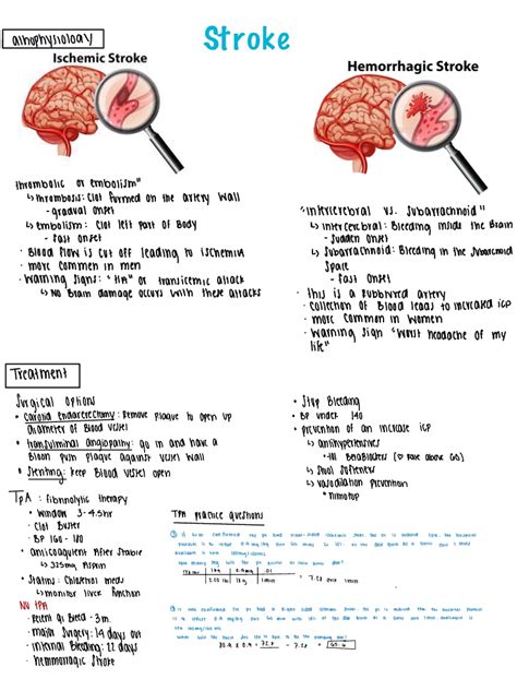 Stroke Notability Gallery