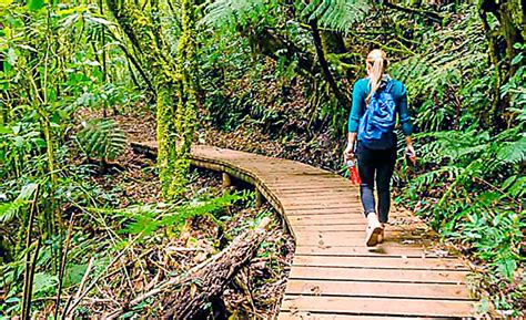 senderos una nueva apuesta turistica diario el pais