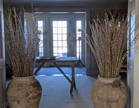 Time To Gather Pussy Willows The Martha Stewart Blog