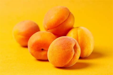 Apricot recipes