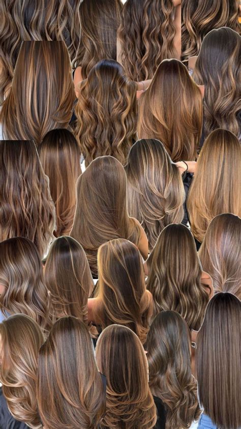 Honey Brown Highlights Best Fall Hair Colors Hair Colors To Try