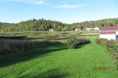 THE 15 BEST Things to Do in Saguenay - 2022 (with Photos) - Tripadvisor