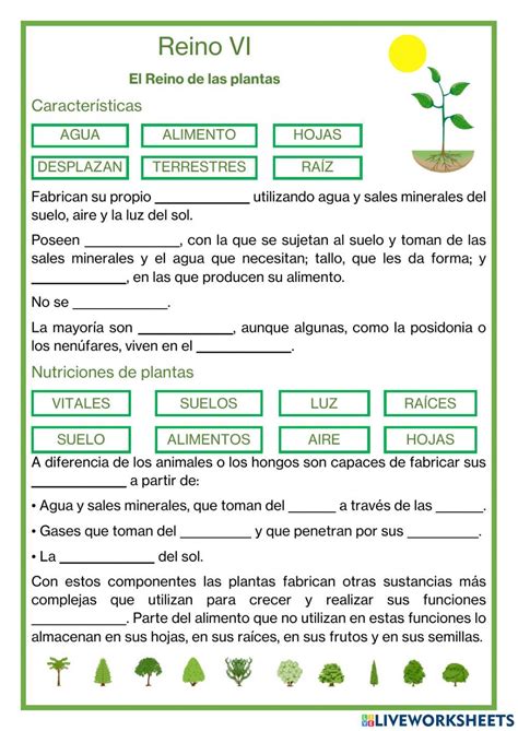 Ejercicio De Los Cinco Reinos De Los Seres Vivos The Best Porn Website