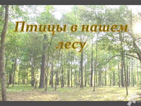 Птицы в нашем лесу - презентация онлайн