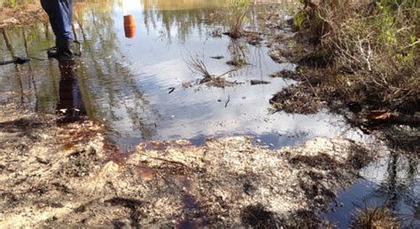 Report Of Oil Spill In Freeport Grand Bahama Grand Bahama Bahamas