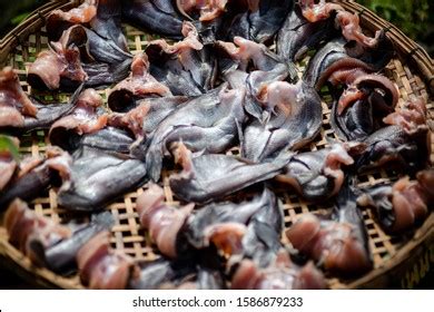 Naked Catfishes Raw Material Fresh Market Stock Photo Shutterstock