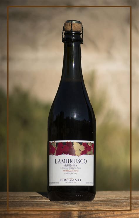 Bringing back Lambrusco: The best of this fizzy vino at a store near you