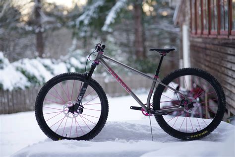 Naia S Ti 29er Singlespeed MTB Naked Bicycles Design