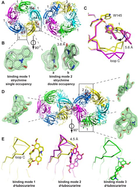 X Ray Crystal Structures Of AChBP Complexes With Strychnine And