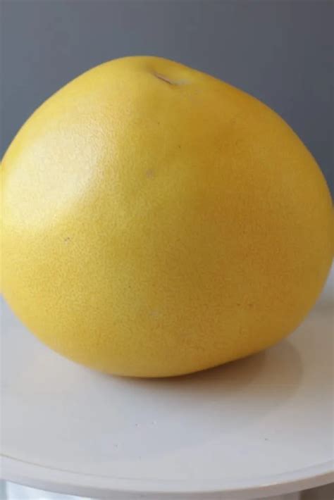 Honey Pomelo
