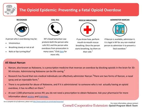 The Opioid Epidemic Preventing A Fatal Opioid Overdose Ppt