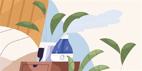 11 простых и эффективных способов увлажнить воздух в квартире — Лайфхакер