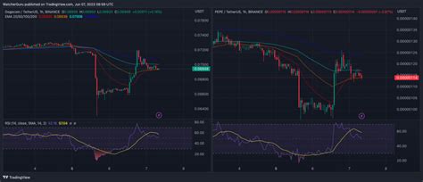 Pepe Coin Rallies 15%, Elon Musk Says Dogecoin 'For the Win'