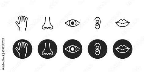 Five Human Senses Icon Set Touch Smell See Hear Taste Vector