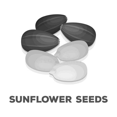 Es Wird Dieses Jahr Gebildet Verschiedene Arten Der Nuts Einzelnen ...