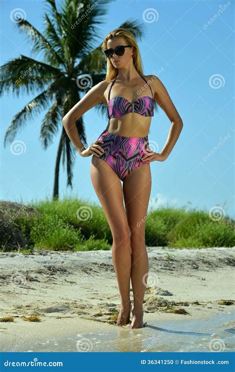 Posa Del Modello Del Bikini Sexy Davanti Alla Palma Fotografia Stock Immagine Di Modello