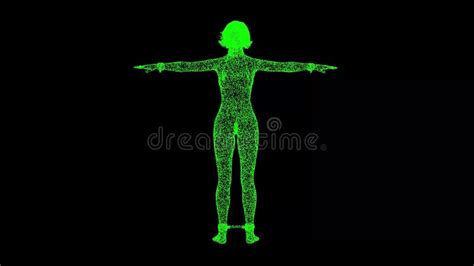 D Naked Female Body In Bdsm Outfit On Black Bg Bdsm Accessory Nipple Clasp Metal Chain Bdsm